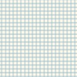 Winnie the Pooh Baby